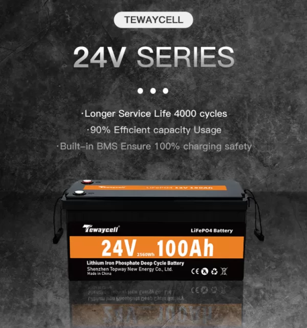 TEWAYCELL 24VOLT 100AH LITHIUM BATTERY LIFEPO4