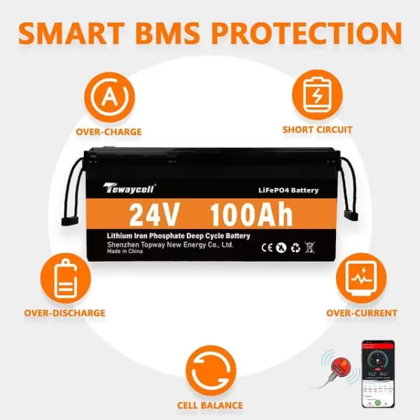 TEWAYCELL 24VOLT 100AH LITHIUM BATTERY LIFEPO4 BMS